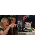 woman yelling at cat template