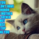 You Don't Have To Honor People That Abuse You.  Tell Someone.  Get Help.  You Didn't Do Anything Wrong.  It's ALL On Them | YOU SHOULDN'T HAVE TO HONOR YOUR MOTHER AND FATHER; IF THEY REFUSE TO STOP ABUSING YOU | image tagged in memes,first world problems cat,honor thy mother and father,child abuse,daily abuse,just say no | made w/ Imgflip meme maker