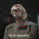 sloth oh it's beautiful