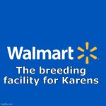 “HEY GIVE ME MY PARKING SPOT BACK!!!” | The breeding facility for Karens | image tagged in walmart life,karen,lol | made w/ Imgflip meme maker