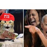 ultra cat - biden yelling
