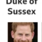 Harry, Duke of Sussex meme