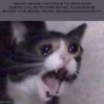 Me when in the server room | "MICHAEL! MICHAEL! I AM STUCK IN THE SERVER ROOM! SOMEONE IS KILLING THE OTHER! MICHAEL! PLEASE HEAR ME! IM GOING TO DIE! MICHAEL! MICHAEL! MICHAAAAAAAAAAAAAAAEL!!!!!" | image tagged in cat cry,server,room,help,spoilers | made w/ Imgflip meme maker