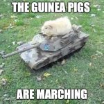 the guinea pigs are marching