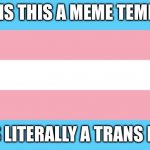 Seriously wtf? | WHY IS THIS A MEME TEMPLATE; IT IS LITERALLY A TRANS FLAG | image tagged in trans flag | made w/ Imgflip meme maker