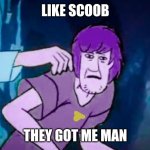 Ruh roh | LIKE SCOOB; THEY GOT ME MAN | image tagged in the shaggy behind the slaughter,shaggy,five nights at freddys,fnaf,scott cawthon,scooby doo | made w/ Imgflip meme maker