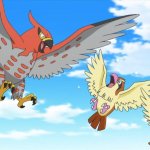 talonflame and pidgey