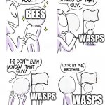 Look at me brother but the faces are blank | BEES; WASPS; WASPS; WASPS | image tagged in look at me brother but the faces are blank | made w/ Imgflip meme maker