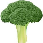 Broccoli for no reason meme