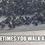 sometimes you walk alone | SOMETIMES YOU WALK ALONE | image tagged in alone in flock dy | made w/ Imgflip meme maker