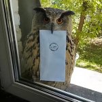 Owl with a letter