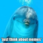 Dolphin thinking | *just think about memes* | image tagged in dolphin don't play games | made w/ Imgflip meme maker