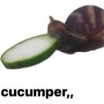 cucumper,, meme