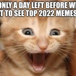 It's Almost the End of the Year | ONLY A DAY LEFT BEFORE WE GET TO SEE TOP 2022 MEMES!!! | image tagged in memes,excited cat,happy new year | made w/ Imgflip meme maker