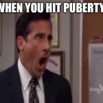 No, God! No God Please No! | WHEN YOU HIT PUBERTY: | image tagged in no god no god please no | made w/ Imgflip meme maker