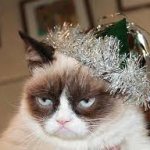 grump-cat-new-year