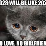 I'm too ugly for love | 2023 WILL BE LIKE 2022; NO LOVE, NO GIRLFRIEND | image tagged in sad cat,no girlfriend,forever alone,lonely | made w/ Imgflip meme maker