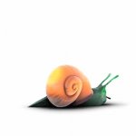 Snail GIF Template