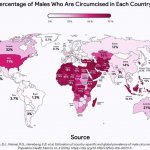 Male circumcision