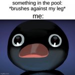 relatable, eh? | something in the pool: *brushes against my leg*; me: | image tagged in pingu stare,memes | made w/ Imgflip meme maker