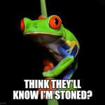 curious tree frog | THINK THEY'LL KNOW I'M STONED? | image tagged in curious tree frog | made w/ Imgflip meme maker