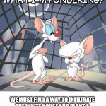 pondering | ARE YOU PONDERING WHAT I'M PONDERING? WE MUST FIND A WAY TO INFILTRATE THE WHITE HOUSE AND PLANT A MIND CONTROL DEVICE IN THE OVAL OFFICE. | image tagged in pinky and the brain | made w/ Imgflip meme maker
