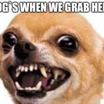 mad dog | MY DOG`S WHEN WE GRAB HER FEET | image tagged in mad dog | made w/ Imgflip meme maker