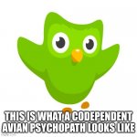 Life's Greatest Role Model | THIS IS WHAT A CODEPENDENT AVIAN PSYCHOPATH LOOKS LIKE | image tagged in things duolingo teaches you,duolingo,duolingo bird,codependent | made w/ Imgflip meme maker