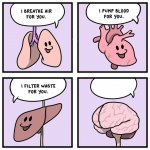organs and brain meme