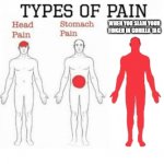 Types of Pain | WHEN YOU SLAM YOUR FINGER IN GORILLA TAG | image tagged in types of pain | made w/ Imgflip meme maker