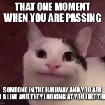 Passing people be like | THAT ONE MOMENT WHEN YOU ARE PASSING; SOMEONE IN THE HALLWAY AND YOU ARE IN A LINE AND THEY LOOKING AT YOU LIKE THIS | image tagged in awkward cat | made w/ Imgflip meme maker
