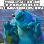 Pleased Sulley | WHEN A STOPLIGHT TURNS GREEN JUST IN TRIMEAN YOU DON'T HAVE TO STOP THE CAR WHEN GOING THROUGH | image tagged in pleased sulley | made w/ Imgflip meme maker