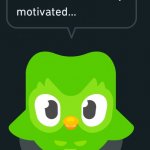 Duolingo the motivator meme