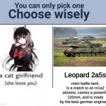 Dont be simps | Leopard 2a5s main battle tank, is a match to an m1a2 abrams, carries a powerful 120mm, and is made by the best german engineers | image tagged in choose wisely,tank | made w/ Imgflip meme maker