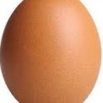 E    G    G