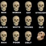Skulls ape stupid human homo erectus neanderthal meme