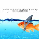 People of social media | People on Social Media | image tagged in fish shark | made w/ Imgflip meme maker