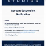 Hi-Rez Account Suspension