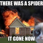 there was a spider | THERE WAS A SPIDER; IT GONE NOW | image tagged in memes,burn kitty,grumpy cat | made w/ Imgflip meme maker