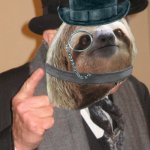 Tophat monocle sloth back in my day