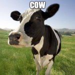 e I e I o | COW | image tagged in cow | made w/ Imgflip meme maker