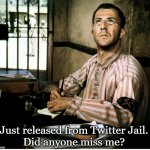 Twitter Jail Miss Me? | Just released from Twitter Jail.
Did anyone miss me? | image tagged in back in twitter jail,twitter | made w/ Imgflip meme maker