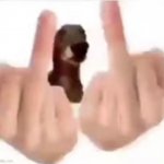fuck you dog