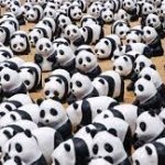 Panda Army