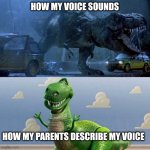 Rexy and Rex | HOW MY VOICE SOUNDS; HOW MY PARENTS DESCRIBE MY VOICE | image tagged in rexy and rex | made w/ Imgflip meme maker