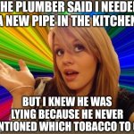Don't you love how language uses the same word for totally different objects? Were we running out or something? | THE PLUMBER SAID I NEEDED A NEW PIPE IN THE KITCHEN; BUT I KNEW HE WAS LYING BECAUSE HE NEVER MENTIONED WHICH TOBACCO TO GET | image tagged in memes,dumb blonde,words,pipe,plumber,idiots | made w/ Imgflip meme maker