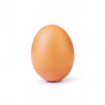 Get this egg to hot | image tagged in world record egg | made w/ Imgflip meme maker