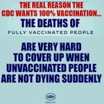 CDC Guidance | THE REAL REASON THE CDC WANTS 100% VACCINATION... ARE VERY HARD TO COVER UP WHEN UNVACCINATED PEOPLE ARE NOT DYING SUDDENLY; THE DEATHS OF | image tagged in cdc guidance | made w/ Imgflip meme maker