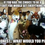 FURRIES! | IF YOU HAD THE CHOICE TO BE A FURRY BUT YOU WOULD GET EVERYTHING IN LIFE; BE HONEST… WHAT WOULD YOU PICK? | image tagged in furries | made w/ Imgflip meme maker