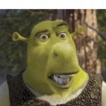 Donkey Shrek | WHEN THE BLIND KID SAW YOU DO THE CRIME | image tagged in donkey shrek,shrek,funny,funny memes,fun,donkey | made w/ Imgflip meme maker